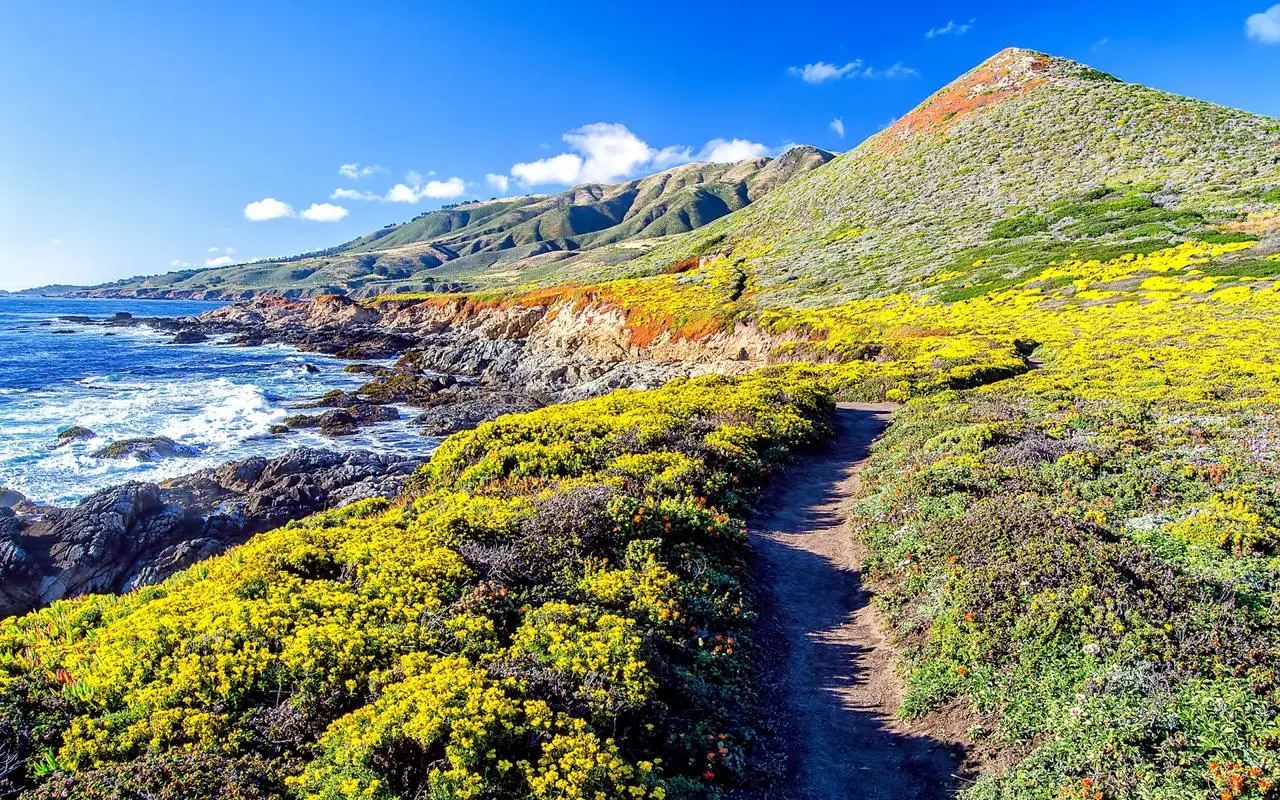 先进数字化